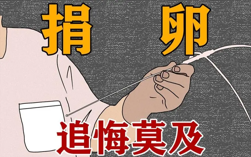 女人捐的卵子有什么用 捐的卵子用来干什么